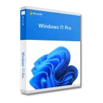 Microsoft Windows 11 Pro