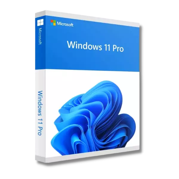 Microsoft Windows 11 Pro